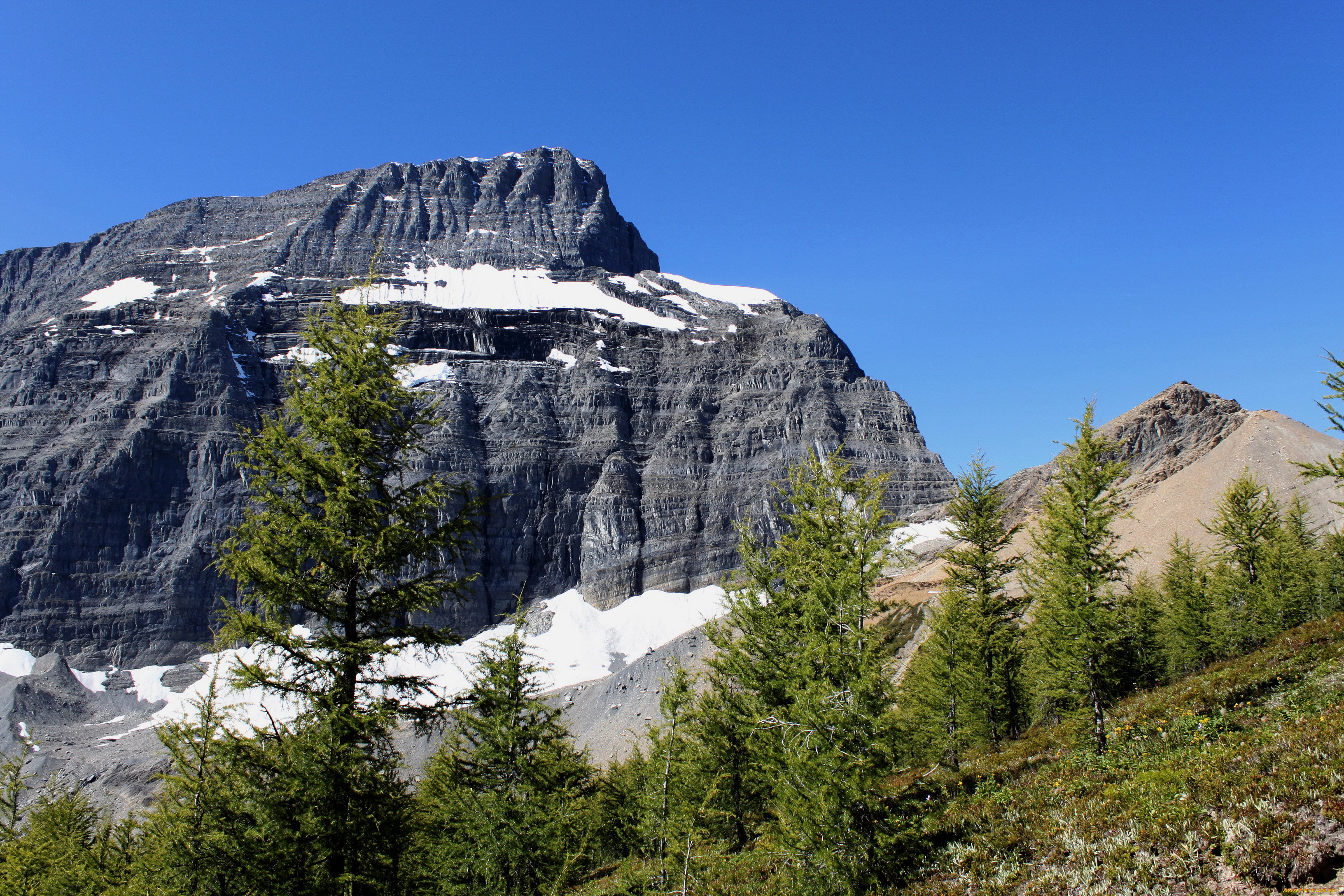 kootenay, national, park, anada, , , 